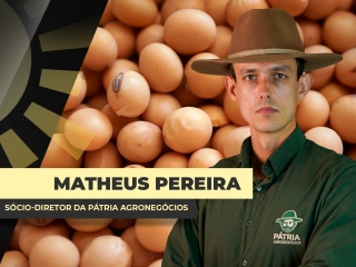 mateus pereira