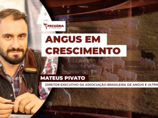 MATEUS
