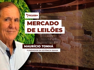 Mauricio