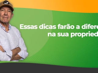 maxresdefault (1)