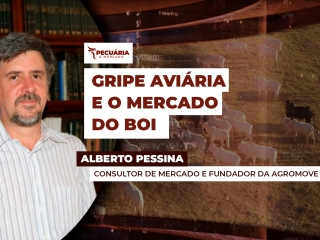 mercado