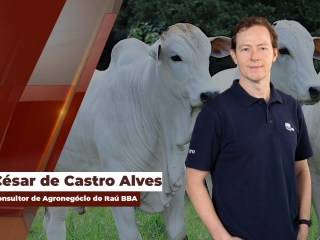 Mercado do Boi Gordosite