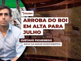 MERCADO DO DIA