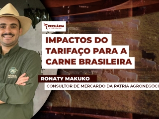 MERCADO-DO-DIA