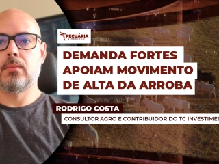 mercado-do-dia