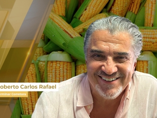 milho site