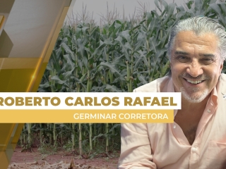 milho site
