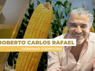 milho site