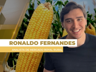 milho site