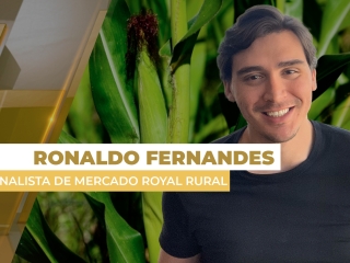 milho site