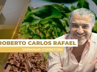 milho site