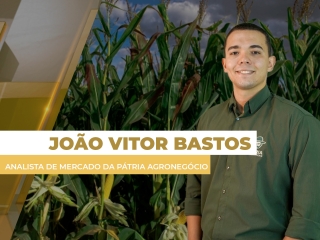milho site