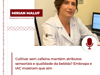 Mirian-Maluf-insta