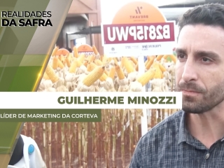 mozzi