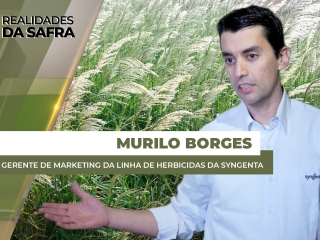 murilo