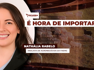 natalhia