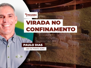 paulo dias
