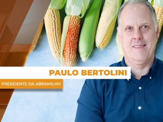 paulo site