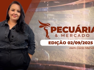 pecuaria