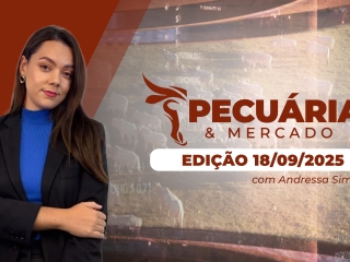 pecuaria