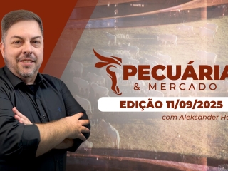 pecuaria