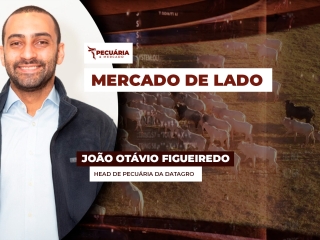 pecuaria ent 1