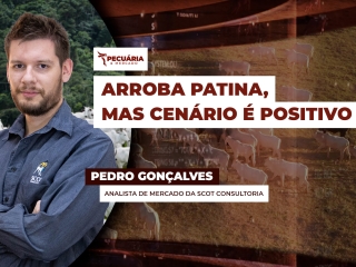 pecuaria ent 1
