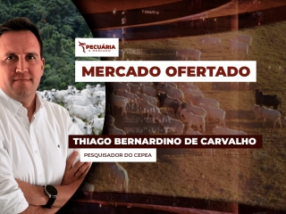 pecuaria ent 1