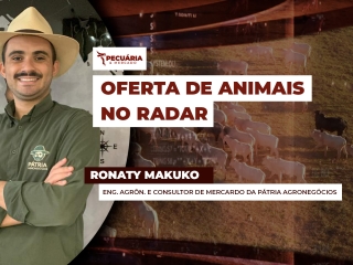 pecuaria ent 1