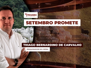 pecuaria ent 1
