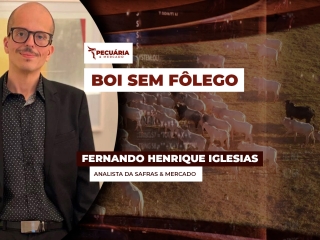 pecuaria ent 1