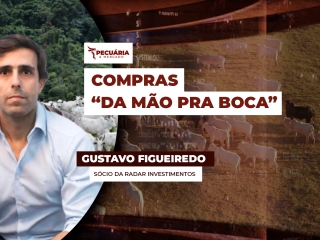 pecuaria ent 1