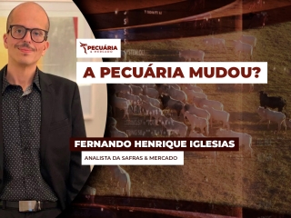 pecuaria ent 1