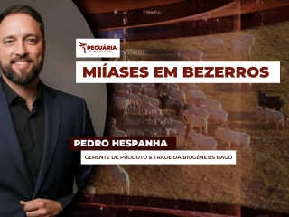 pecuaria ent 2