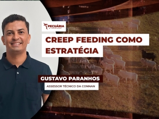 pecuaria ent 2