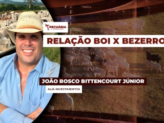 pecuaria ent 2