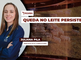 pecuaria ent 2