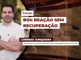 pecuaria ent 2