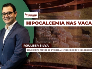 pecuaria ent 2
