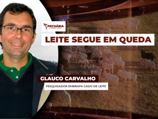pecuaria ent 2