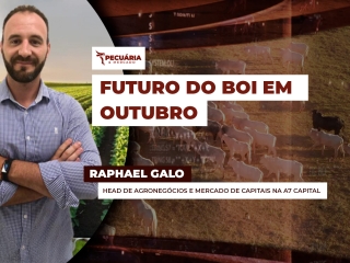 pecuaria ent 2