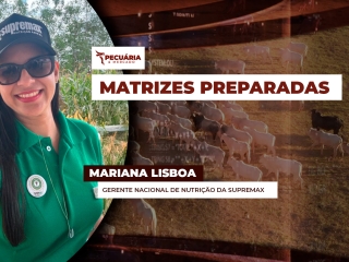 pecuaria ent 2