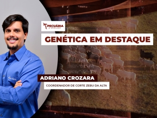 pecuaria ent 2