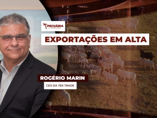 pecuaria ent 3