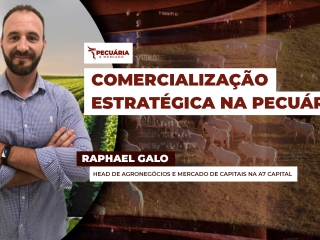 pecuaria ent 3