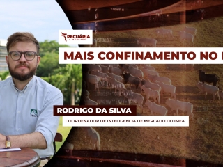 pecuaria ent 3