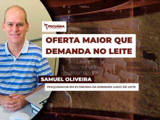 pecuaria ent 3