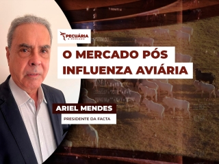 pecuaria ent 3