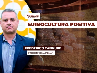 pecuaria ent 3