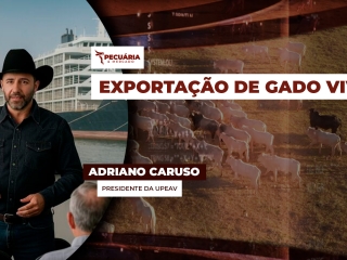 pecuaria ent 3